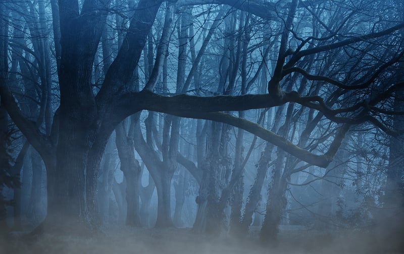 Mysterious Whisper